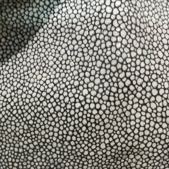 Olive/Cream/Silver Stingray Calfskin Satchel EUC #266 - Picture 2 of 15